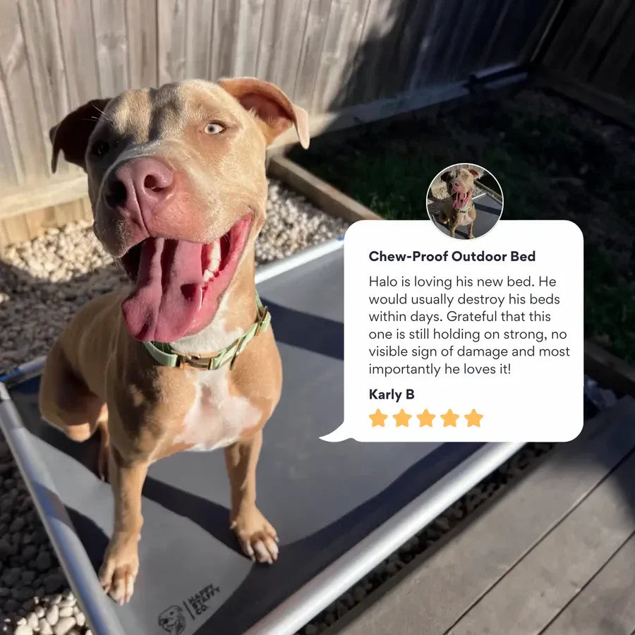 Chew-Proof Outdoor Bed
